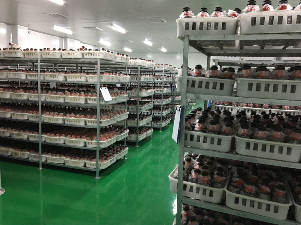 首页 - NG电子官方网站