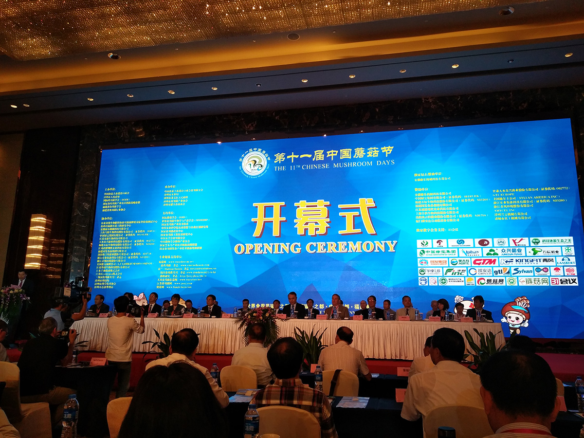 首页 - NG电子官方网站