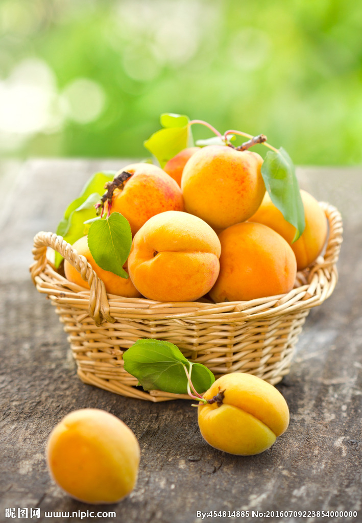 首页 - NG电子官方网站