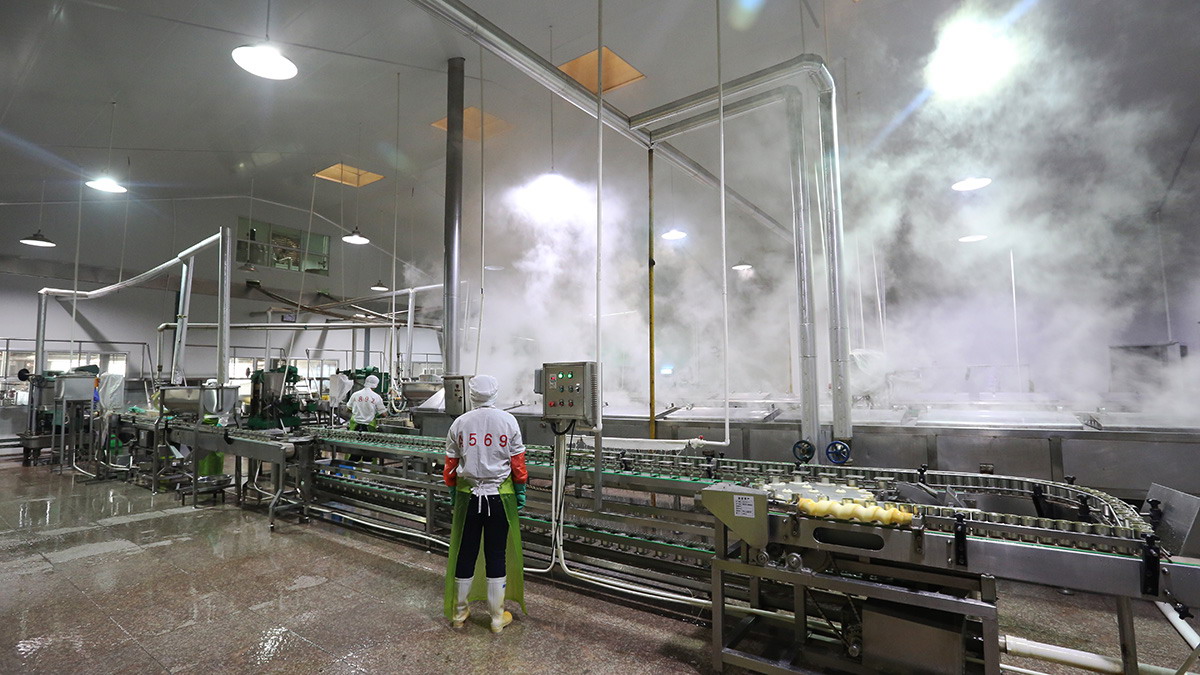 首页 - NG电子官方网站