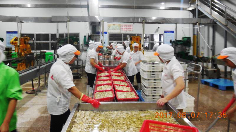 首页 - NG电子官方网站