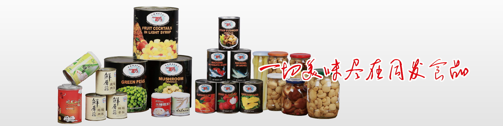 首页 - NG电子官方网站