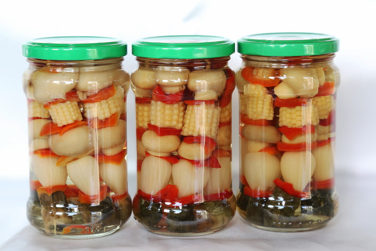 首页 - NG电子官方网站