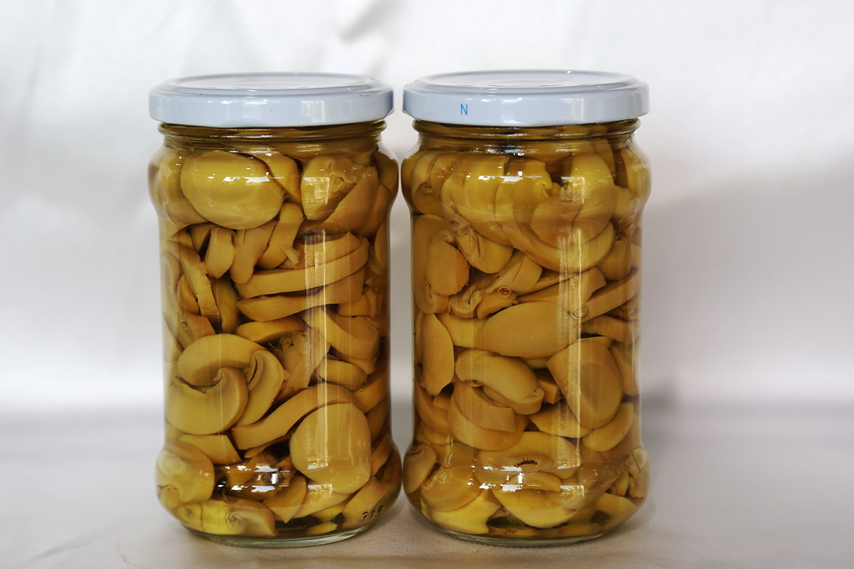 首页 - NG电子官方网站