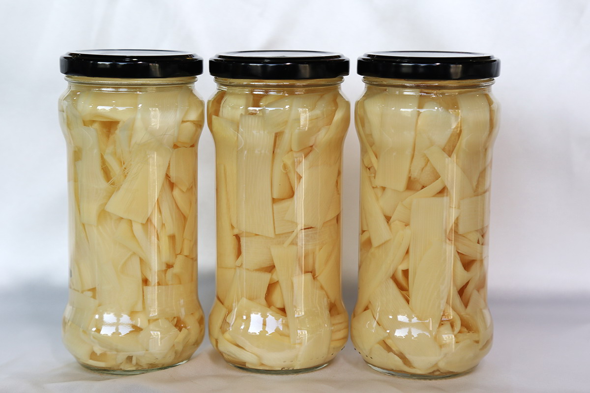 首页 - NG电子官方网站