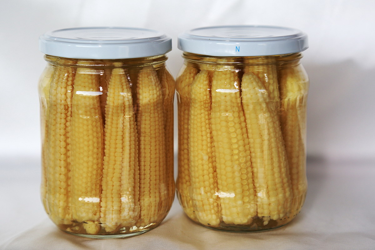 首页 - NG电子官方网站