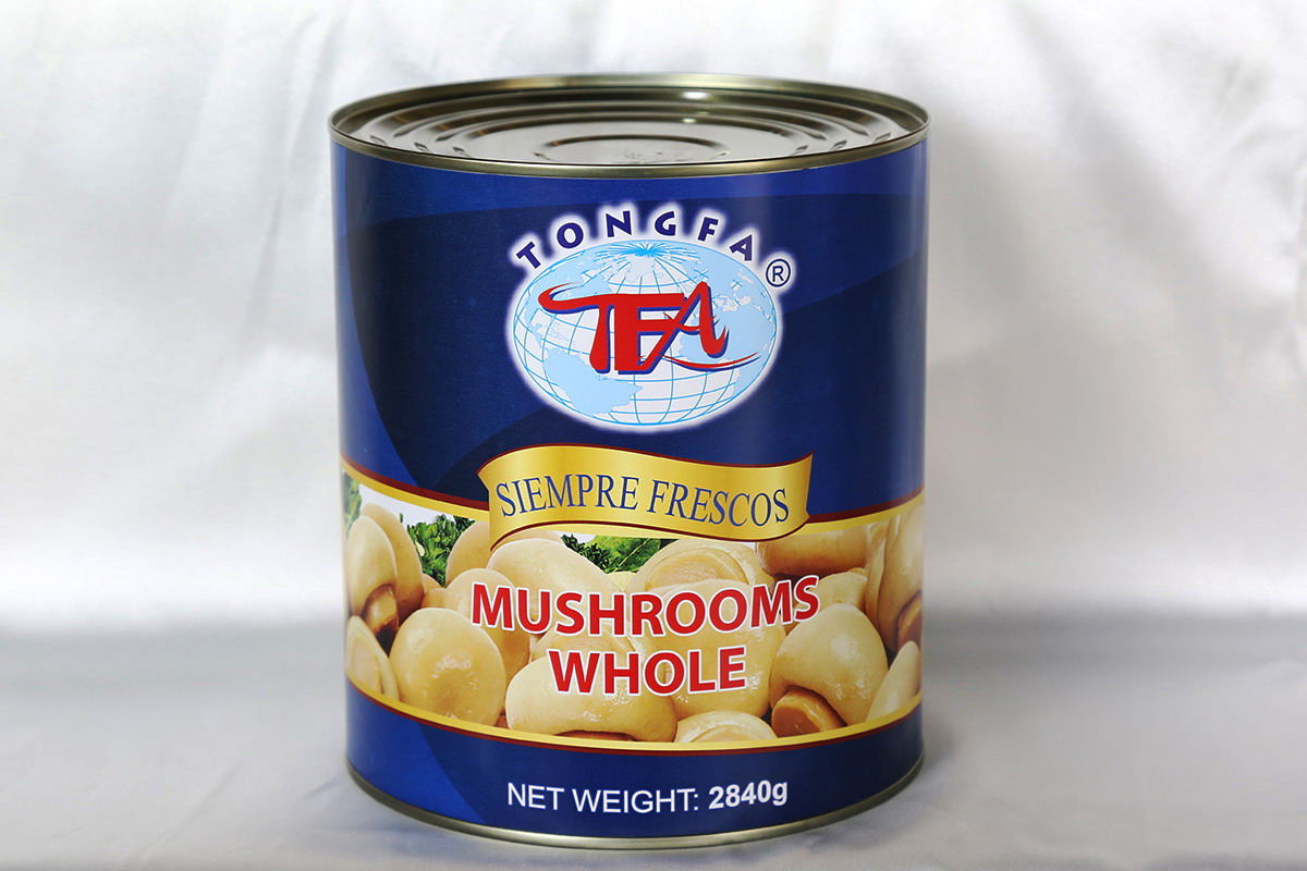 首页 - NG电子官方网站