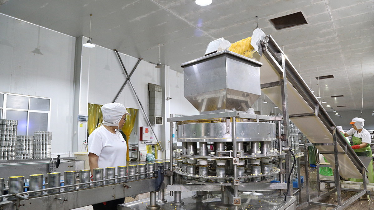 首页 - NG电子官方网站