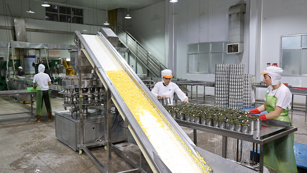 首页 - NG电子官方网站